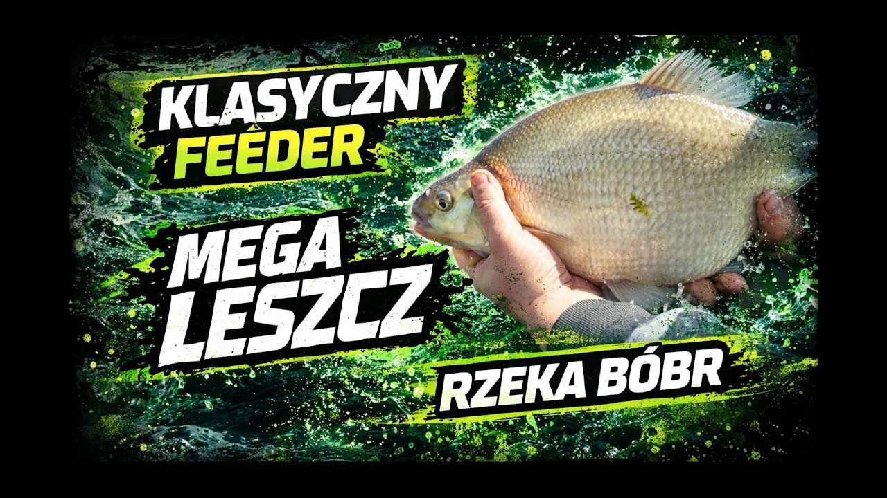 [#3] KLASYCZNY FEEDER - ujście rzeki Bóbr do Odry