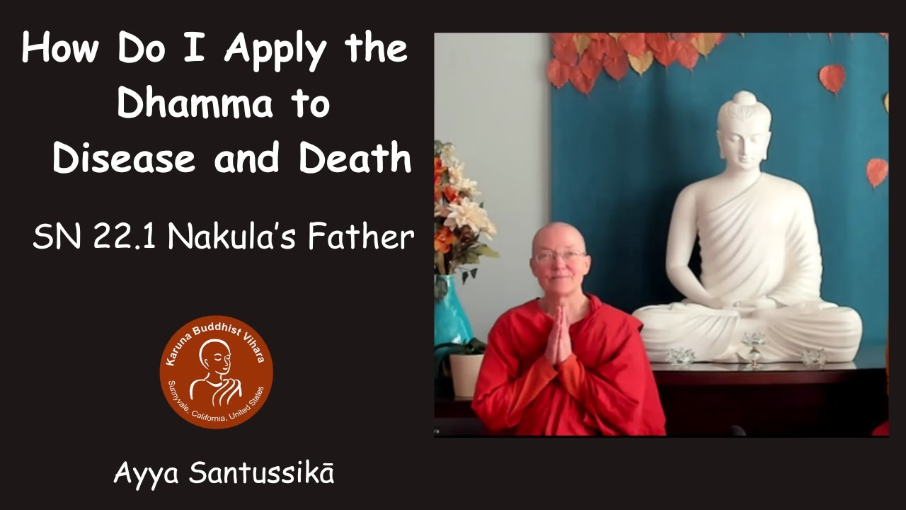 How Do I Apply the Dhamma to Disease and Death: Nakulapita SN 22.1