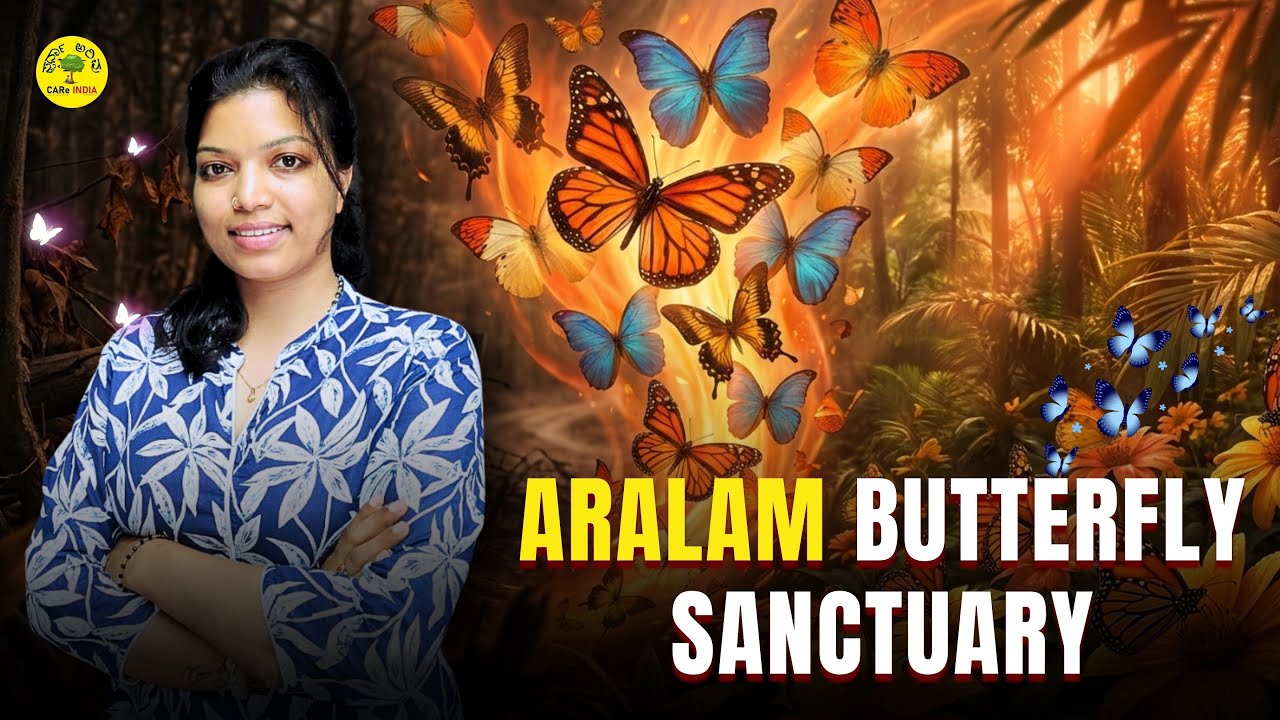 Aralam Butterfly Sanctuary Explained | spardha arivu