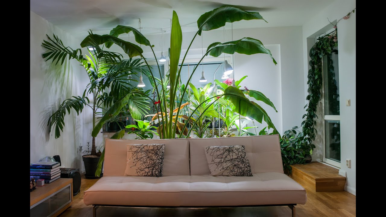 Tropics @Home
