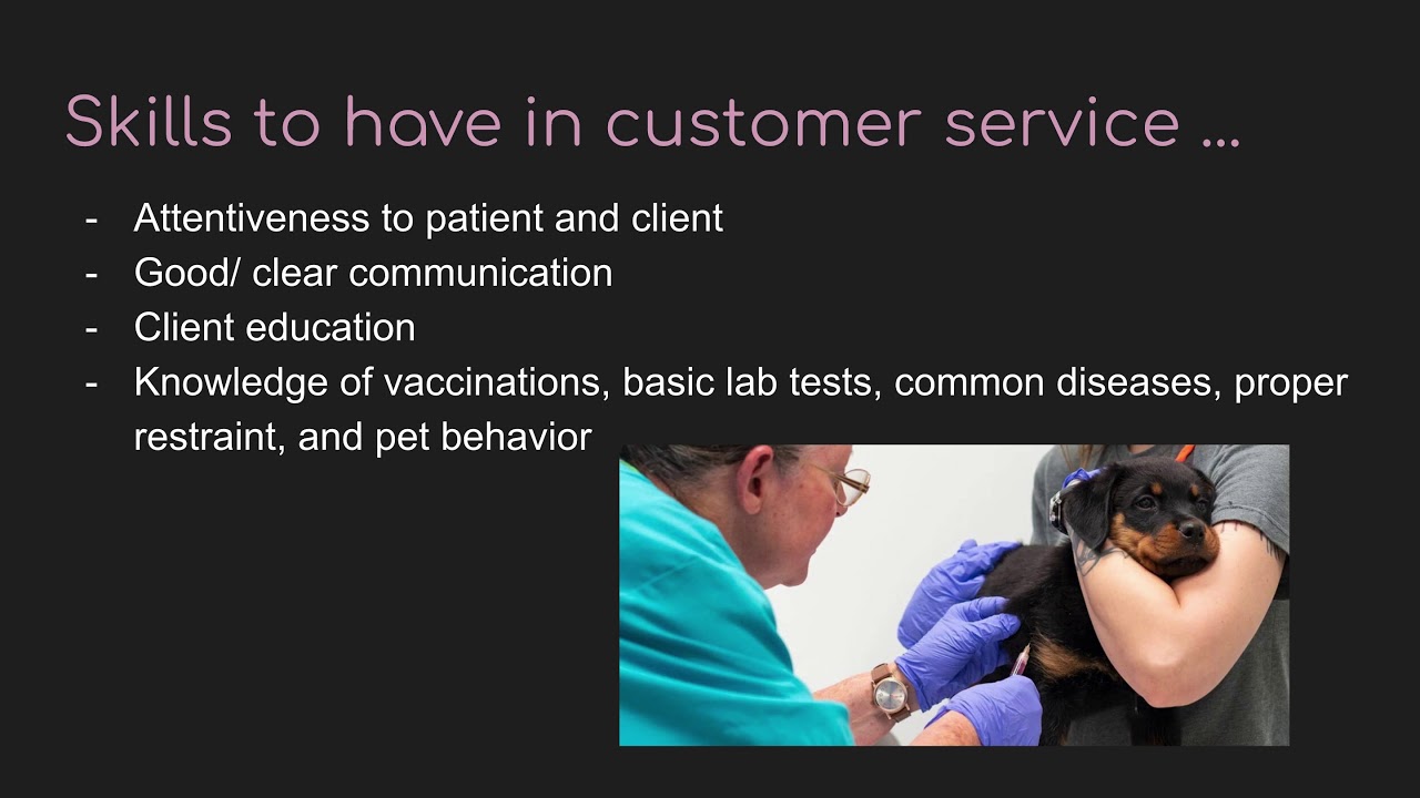 Customer service representative for a veterinary hospital