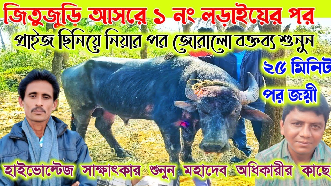 জিতুজুড়ি আসরের ১নং খেলার পর। মহাদেব অধিকারী কাড়া জয়ী হওয়ার পর জোরালো বক্তব্য শুনুন।