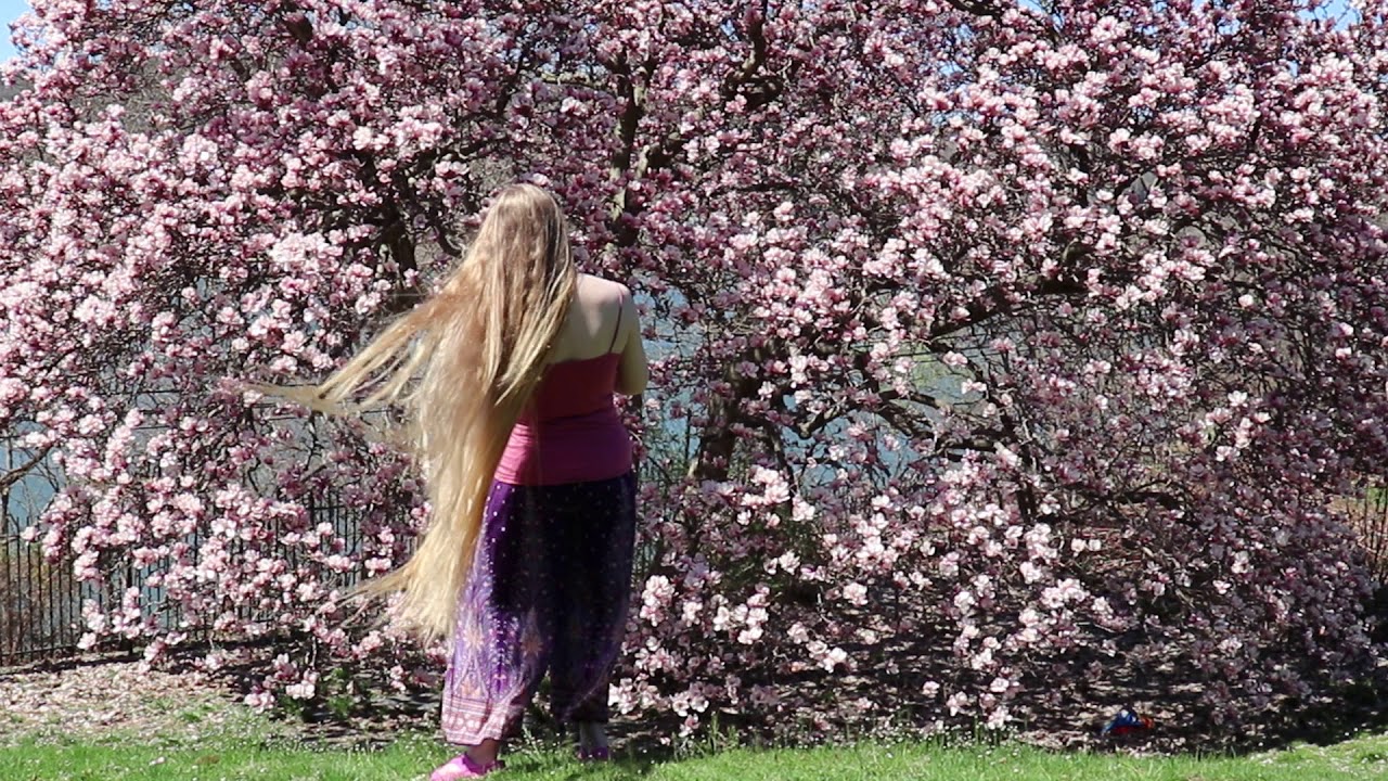 Long Blonde Hair in the wind with Magnolia Tree