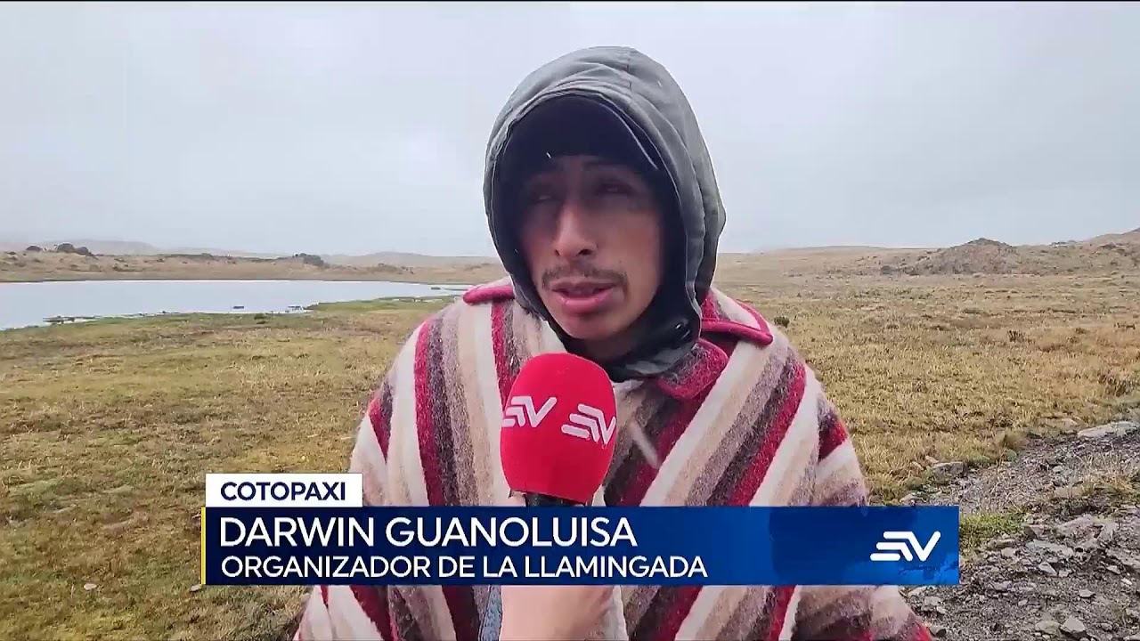 #ENVIVO🔴 | TELEVISTAZO 7PM  8-2-2026