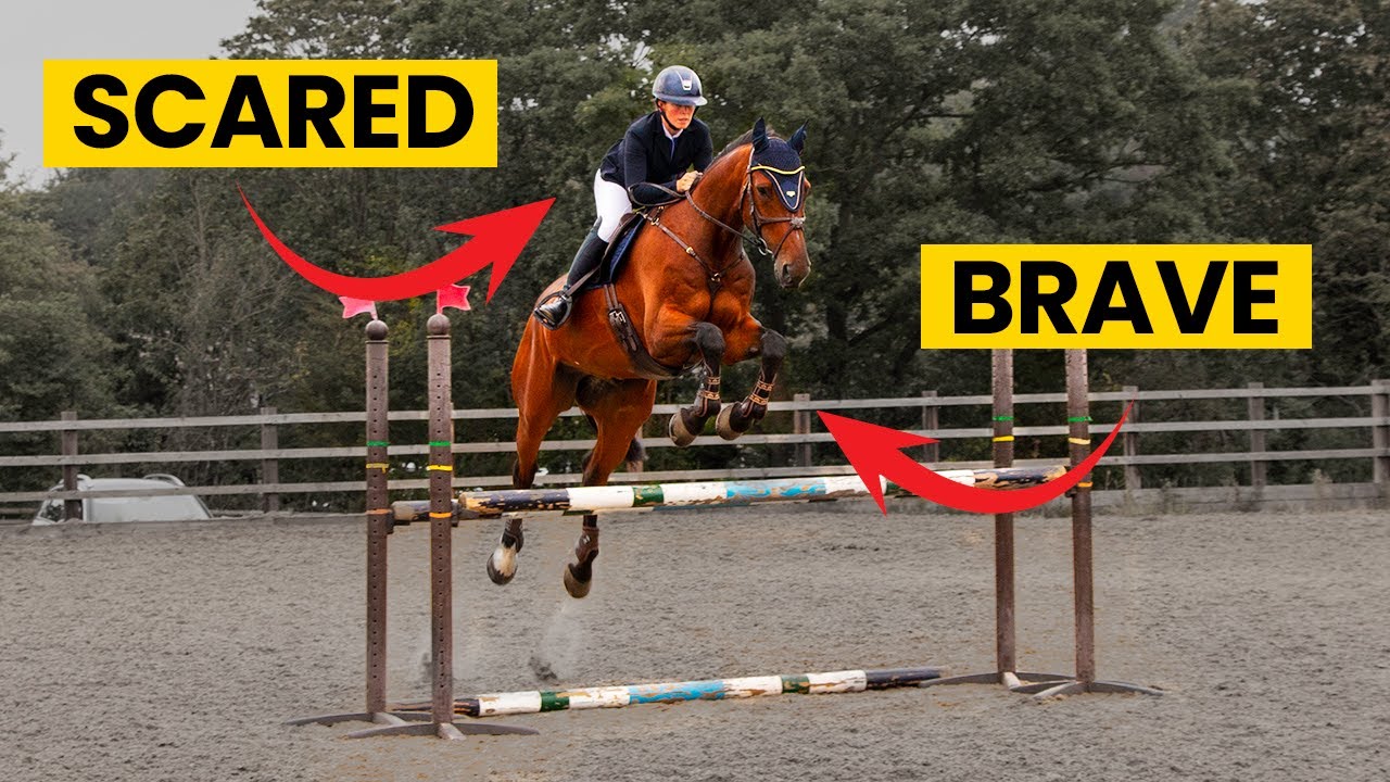 Am I Holding Him Back? (Jumping Our First 115cm)