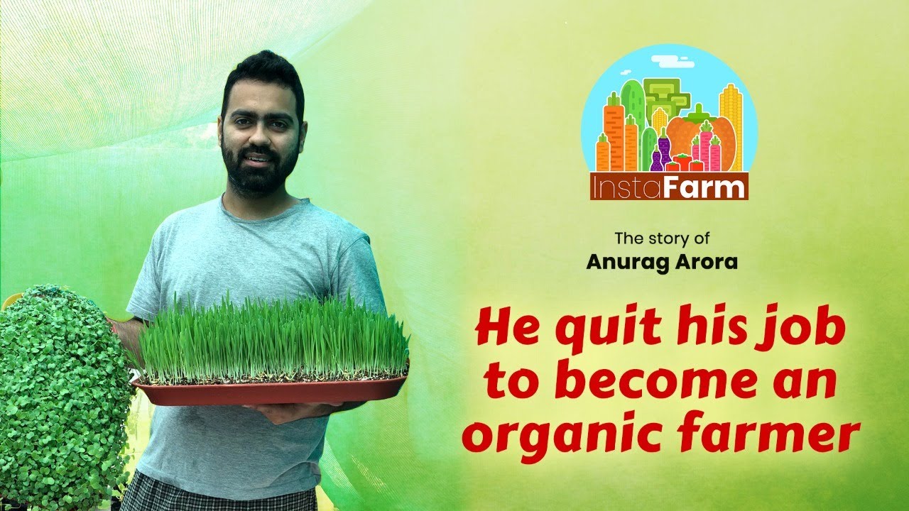 Anurag Arora | A Organic Vegetable Farmer | Special Story @ InstaFarm