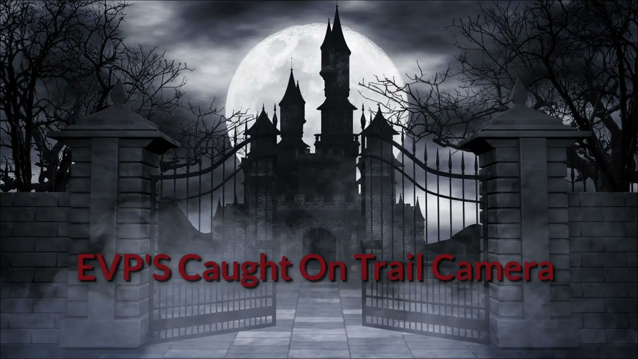 Supernatural Trail Camera Footage!