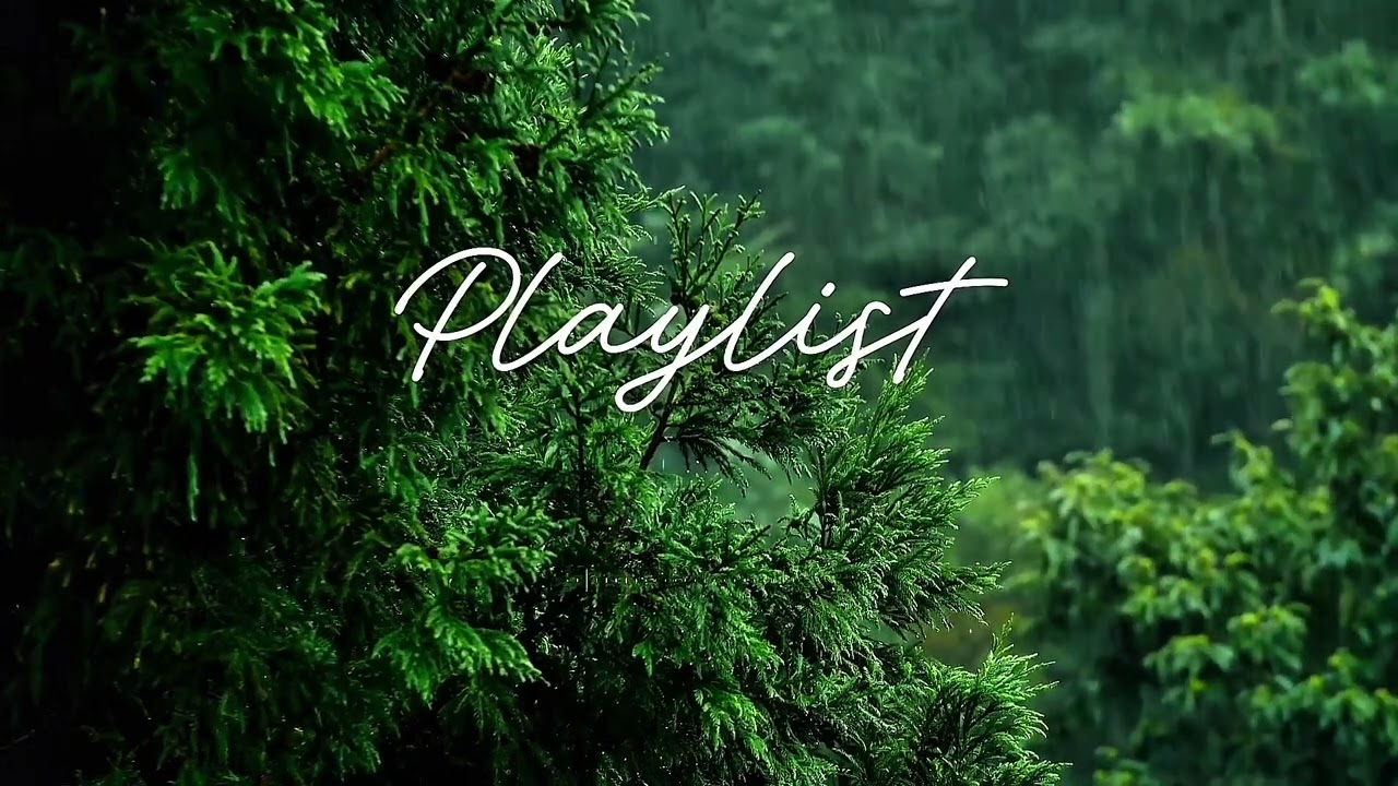 Relaxing Piano Music 🌙 Calm Music for Sleep & Stress Relief