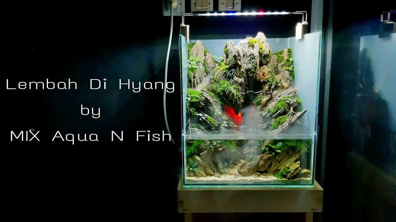 Paludarium Batu Pasir | Lembah Di Hyang