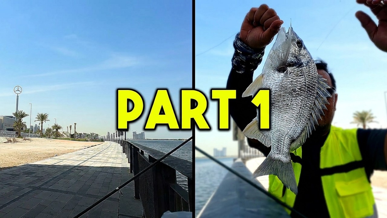 Part 1 - New Spot - D3 fishing spot in Dubai 2025