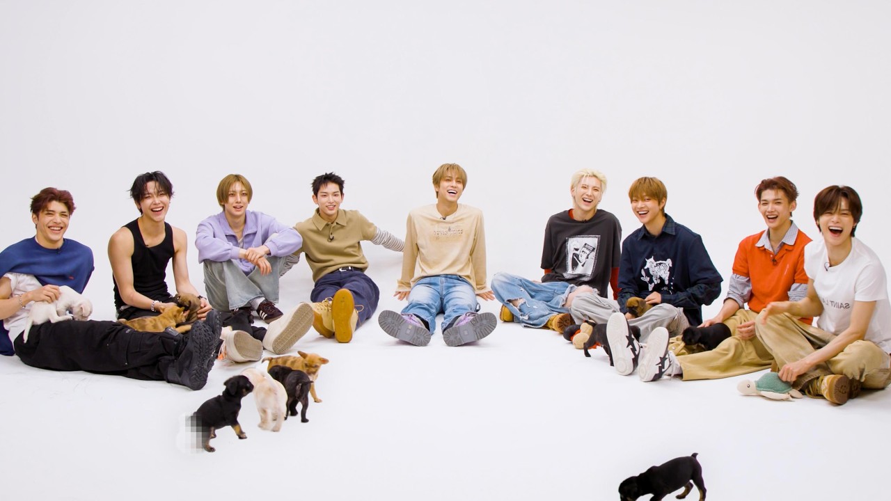 &TEAM: The Puppy Interview