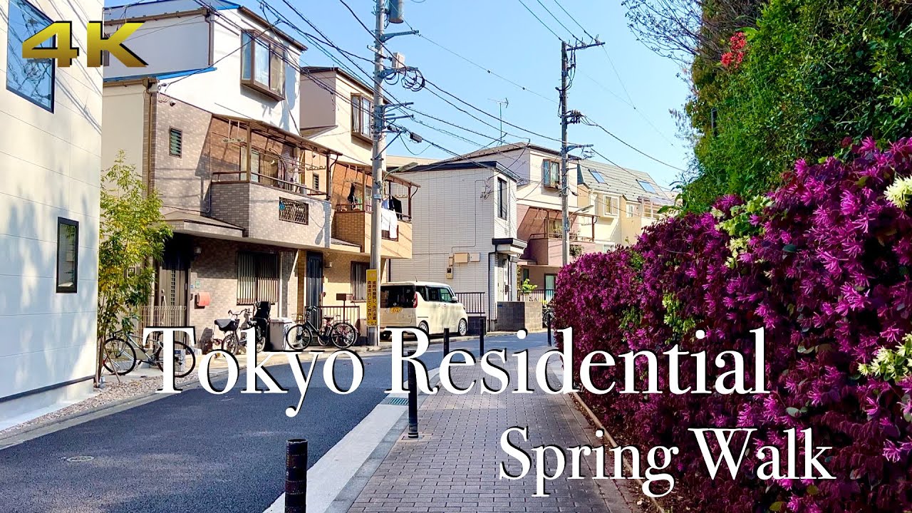[4K] Tokyo Residential, Spring Walk. Peaceful & Quiet ☀️🌸🇯🇵 #asmr