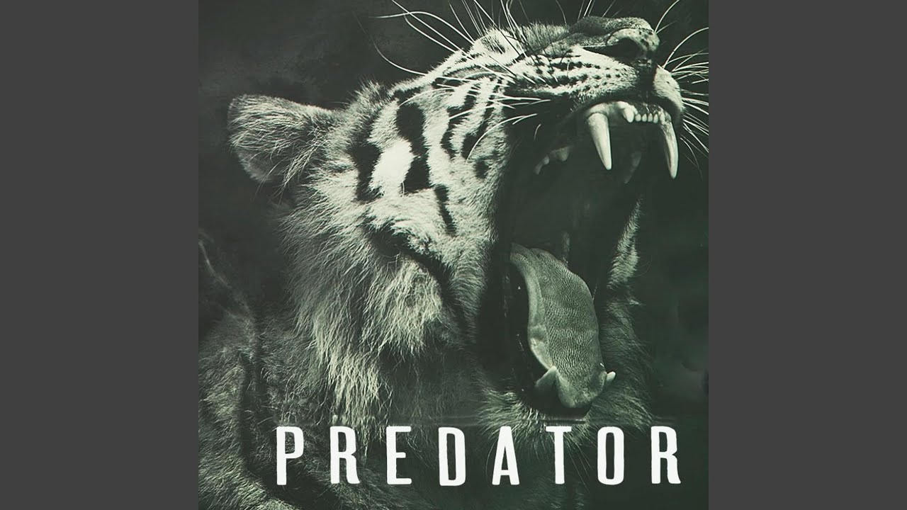 Predator