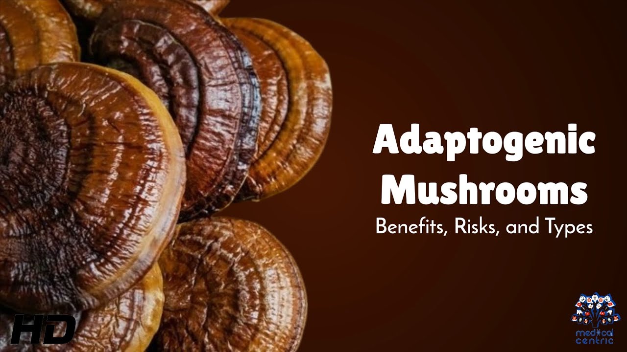 Adaptogenic Mushrooms: Benefits and Risks You Should Know Before Using