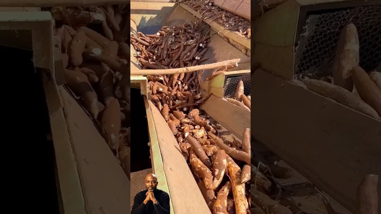 Conhe&ccedil;a Como &eacute; Feito O Sagu Pelos mestres Artes&atilde;os 👷🏻