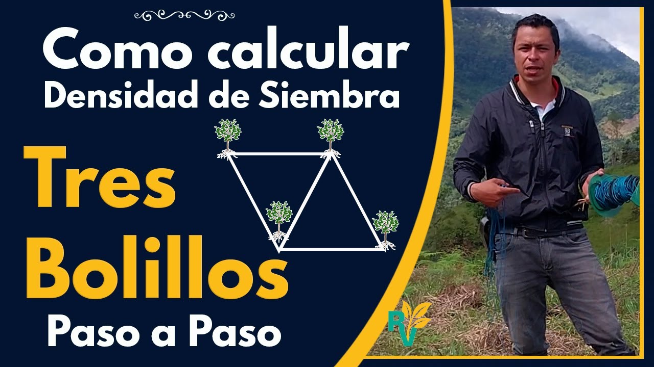 📐 Método para El TRAZADO a TRESBOLILLO en 🥑 cultivos 📏 | Paso a Paso