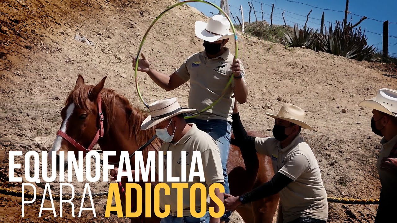 Terapia con caballos para adictos.