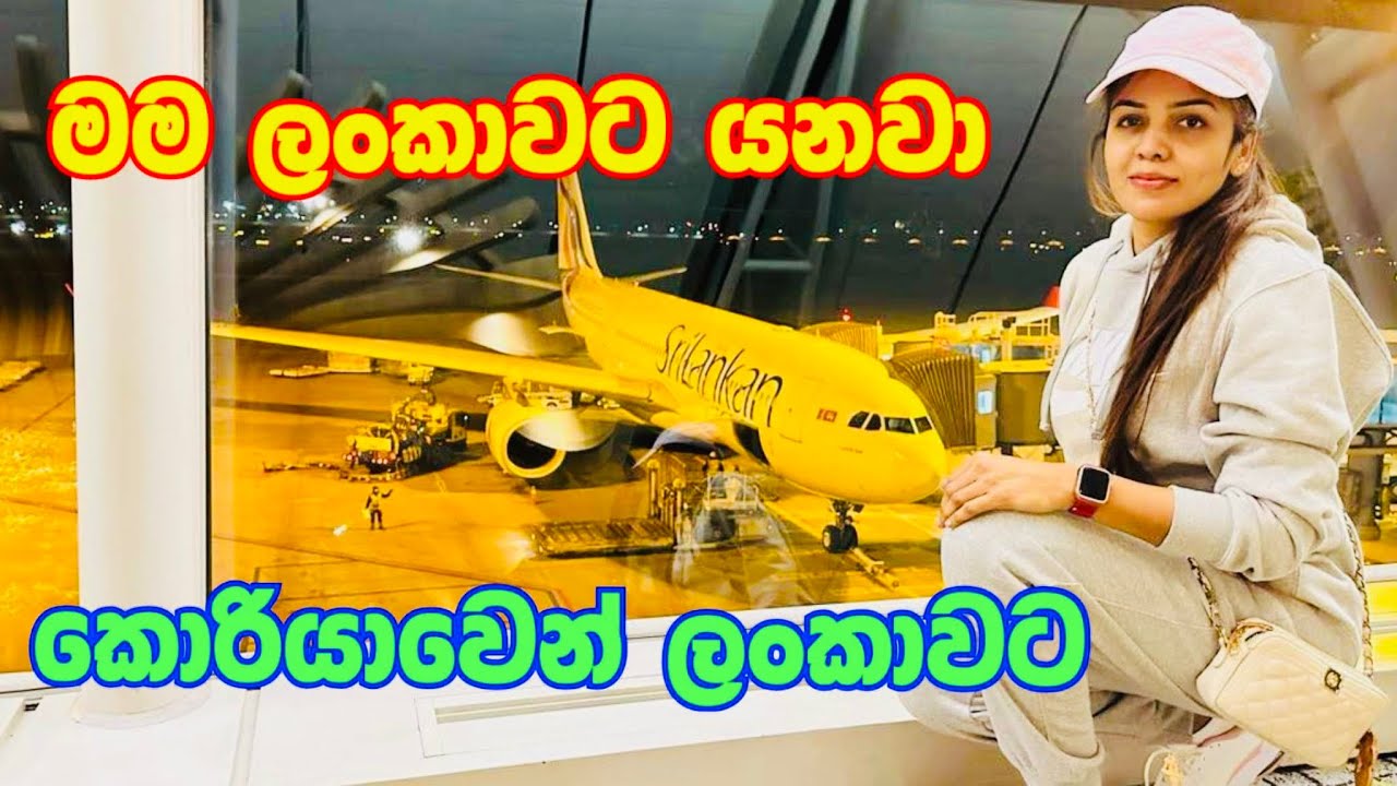 කොරියාවෙන් ලංකාවට | හීනහැබෑ කරගෙන මං ලංකාවට යනවා | South Korea to SriLanka | Sandu | Sendy Rupasinha