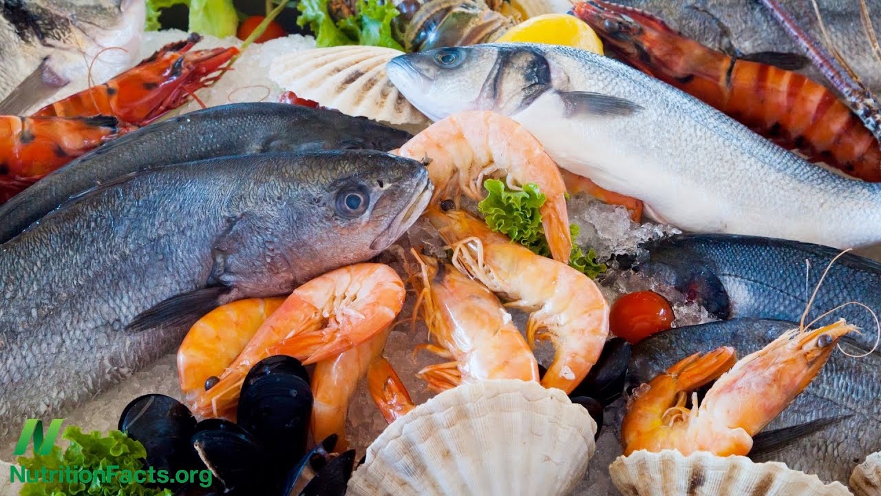 Diet and Amyotrophic Lateral Sclerosis (ALS)