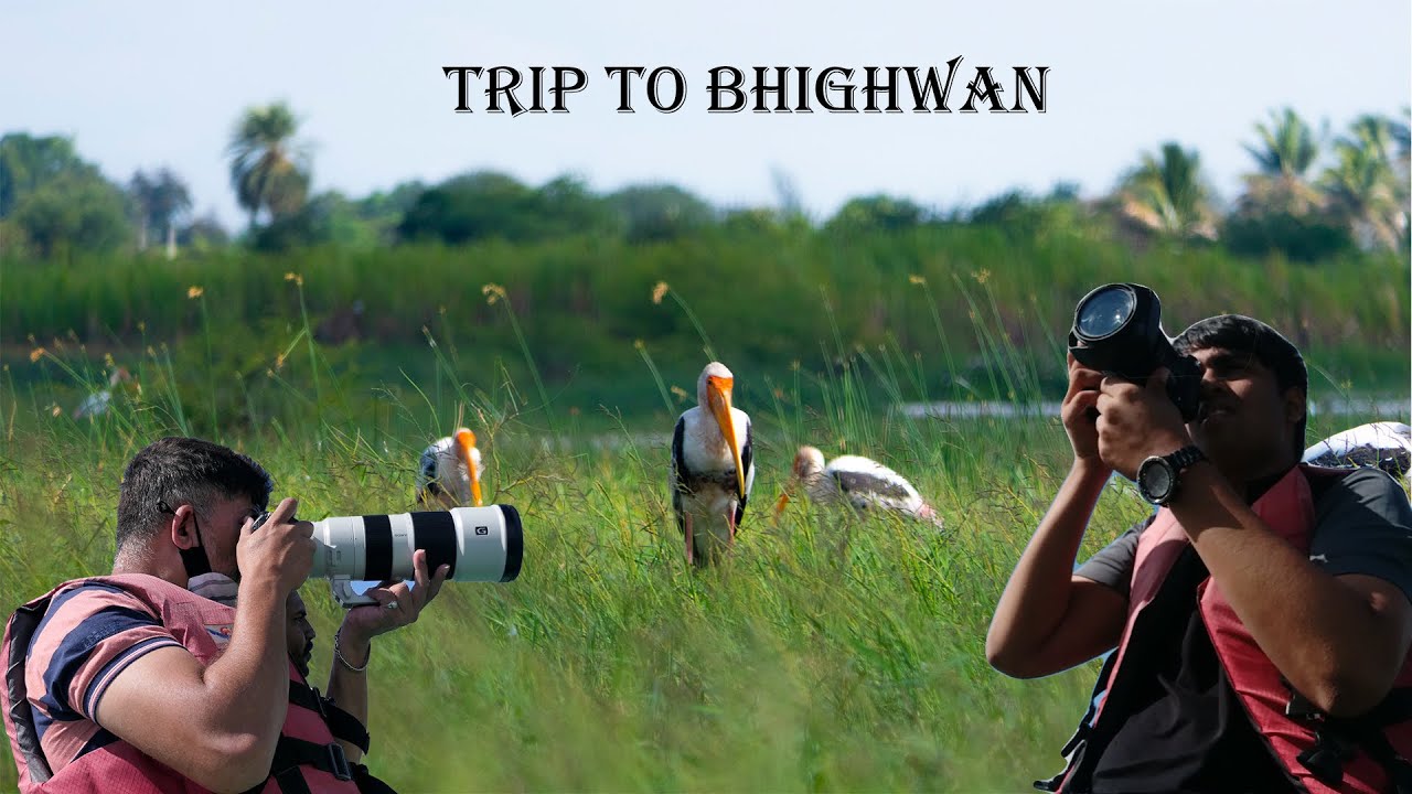 | TRIP TO BHIGHWAN | A BIRD SANCTUARY |