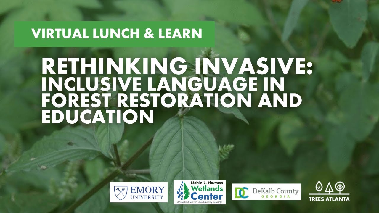 Rethinking Invasive: Inclusive Language In Forest Restoration and Education
