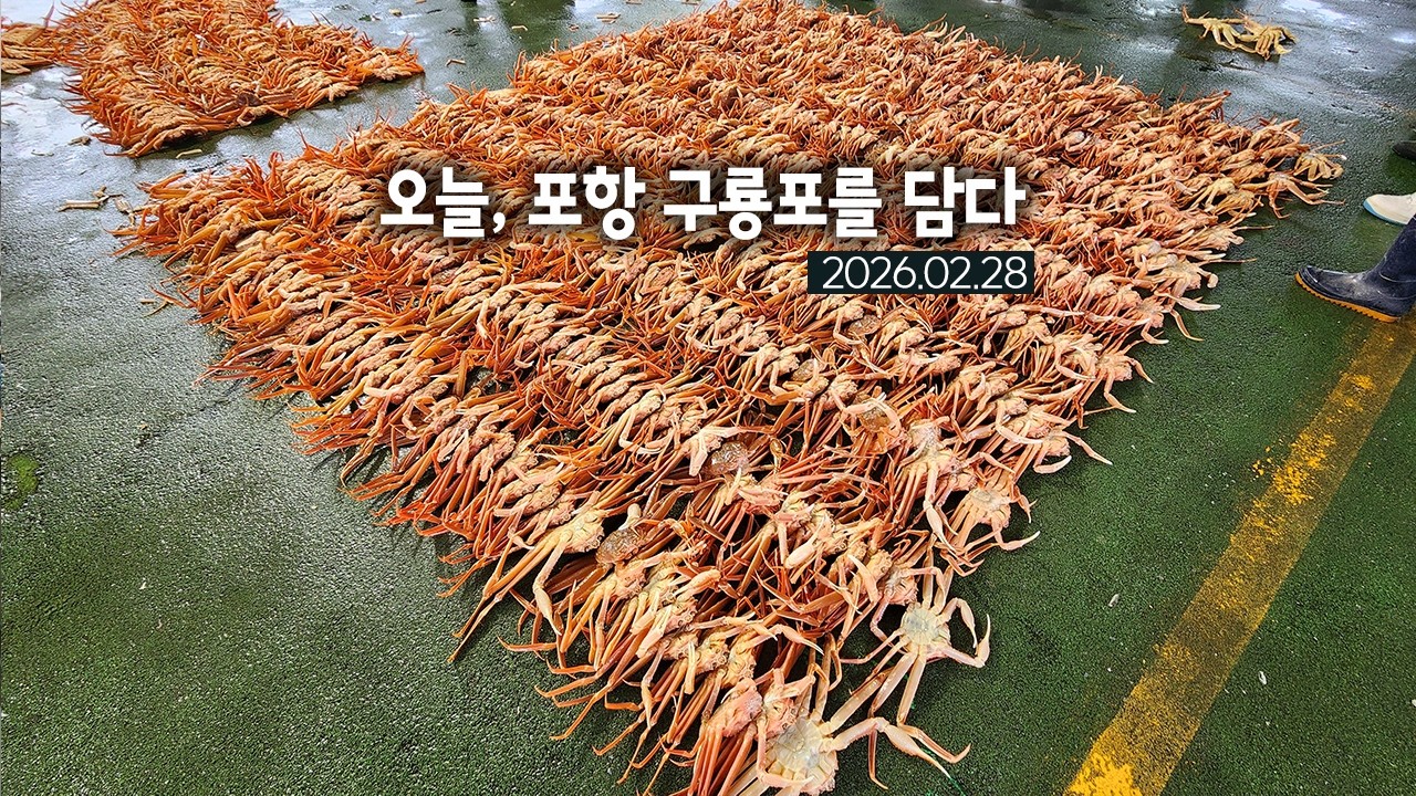 오늘, 포항 구룡포를 담다 2026.02.28