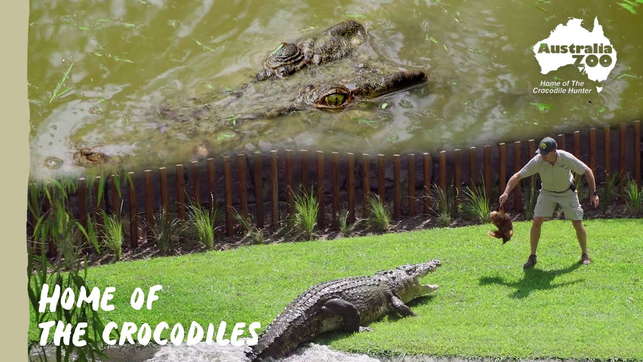A hidden gem of history | Australia Zoo Life