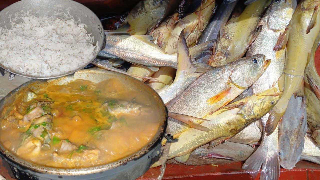 PESCARIA DE REDE MALHADEIRA, cozidão de peixes gordos e muita chuva