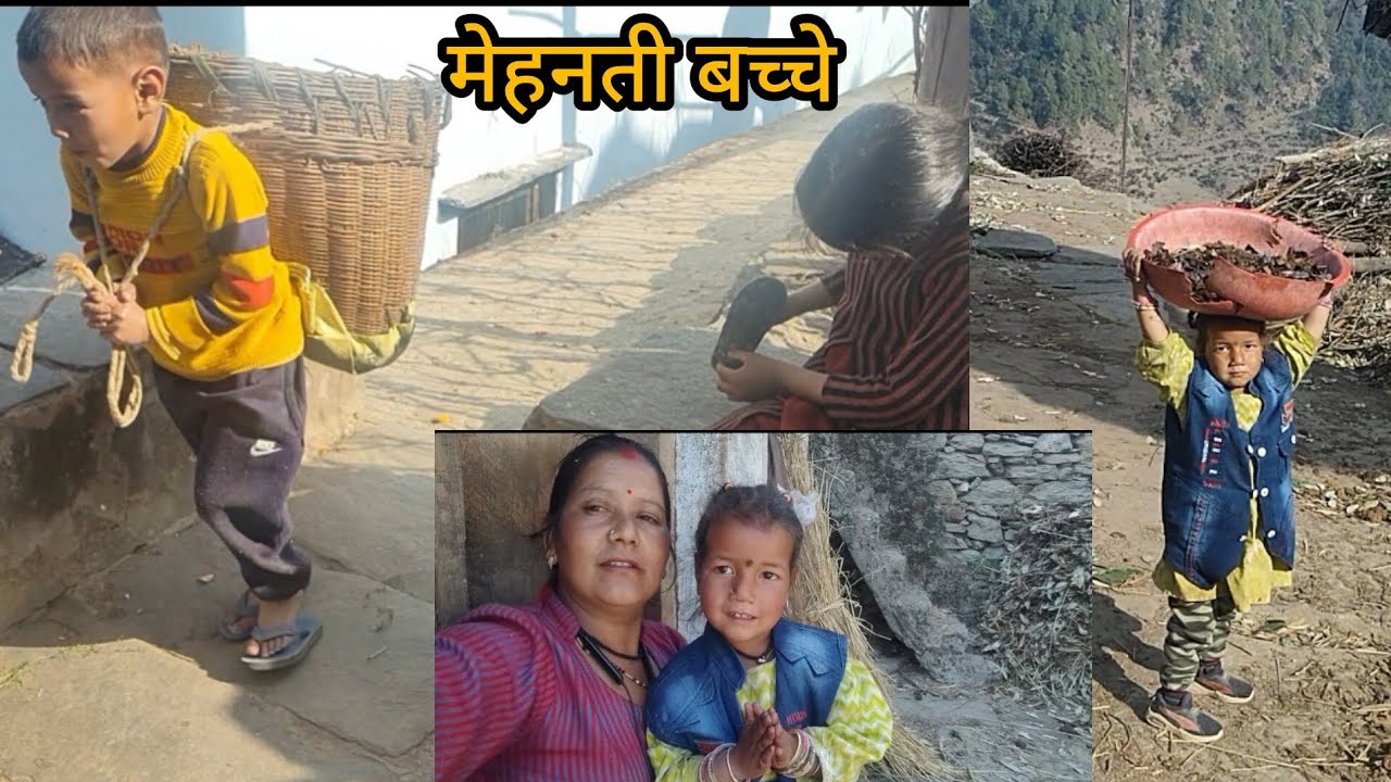 देखिए दोस्तों पहाड़ों के मेहनती बच्चे।❤️😘 