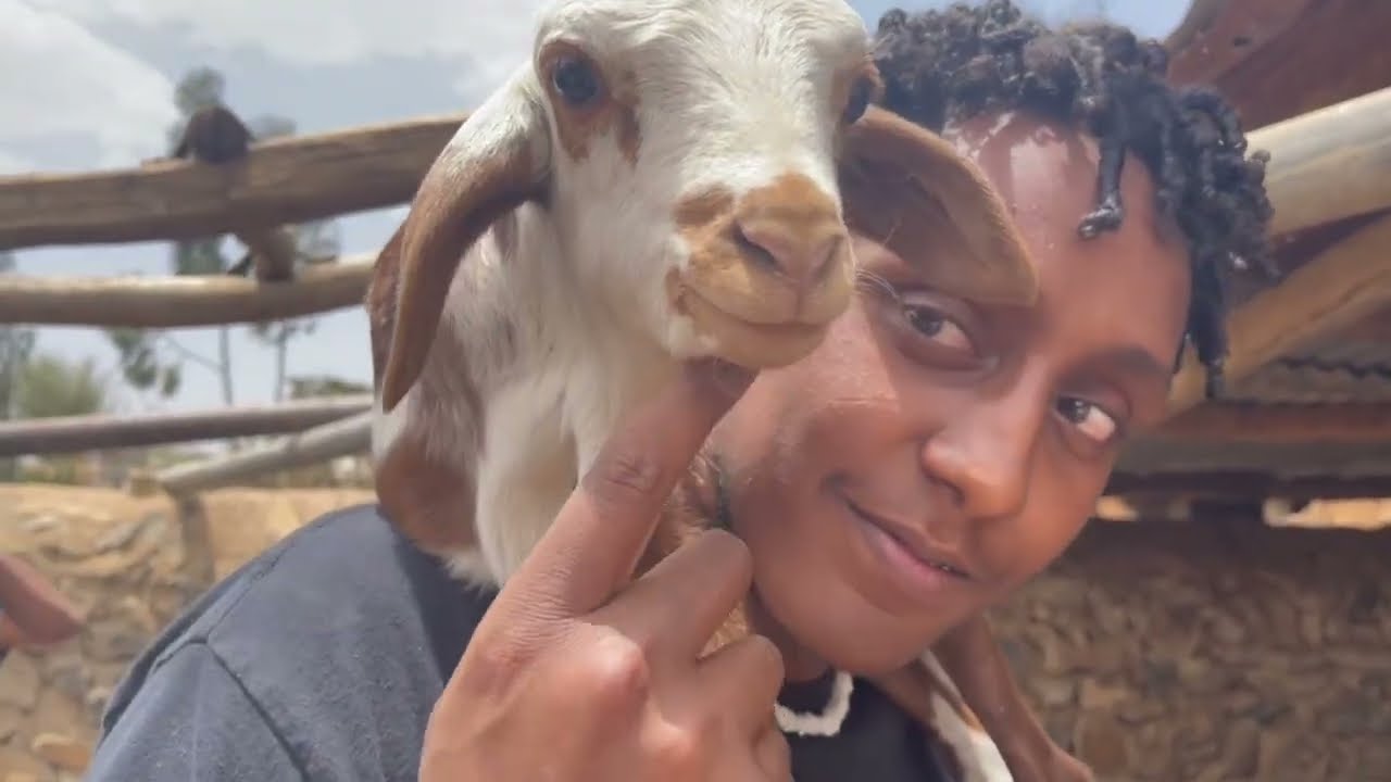 Lost in Eritrea - Visited Eritrea after 20 Years!