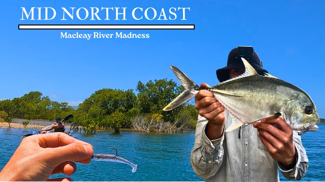 5 DAYS NON STOP ACTION ON THE MACLEAY!!! (Mid North Coast)