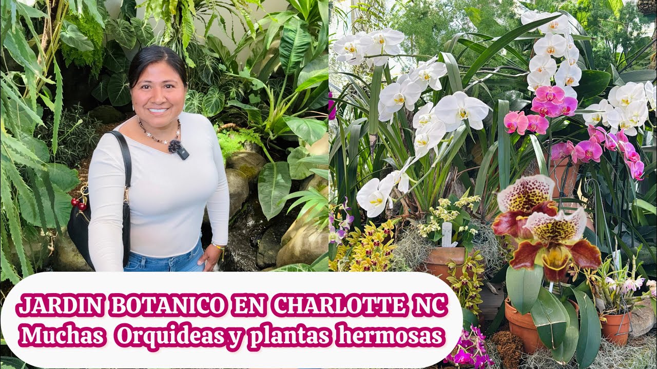El jardin botanico de Charlotte NC Muchas orquideas y plantas hermosas