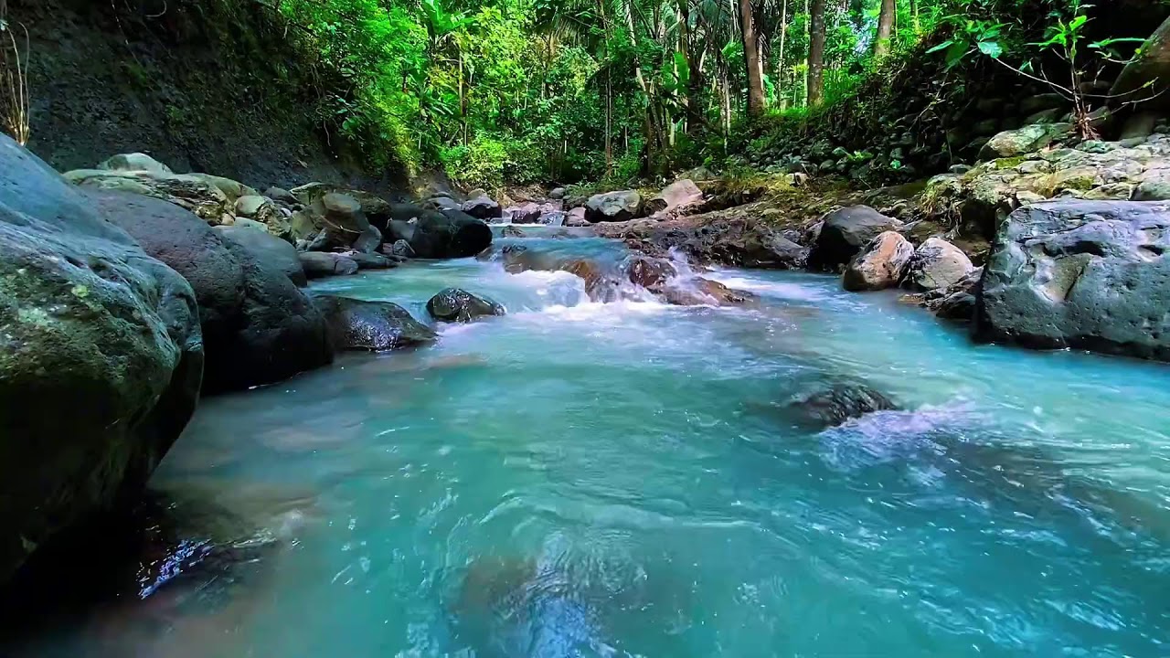 Mountain Stream Natural Water, Forest River Sounds, Sleeping