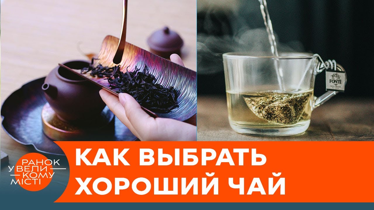 Труха вместо листьев? Есть ли в Украине настоящий чай и как его выбрать — ICTV