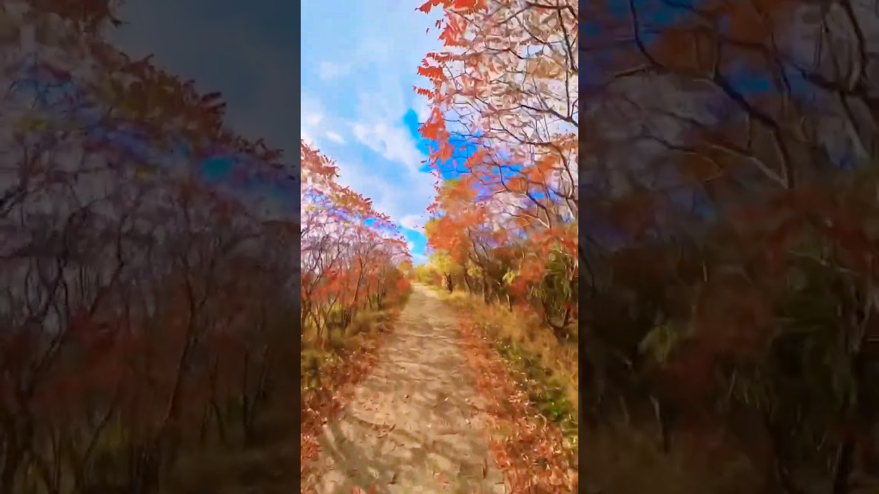 Autumn long walks. #photowalks #longwalks