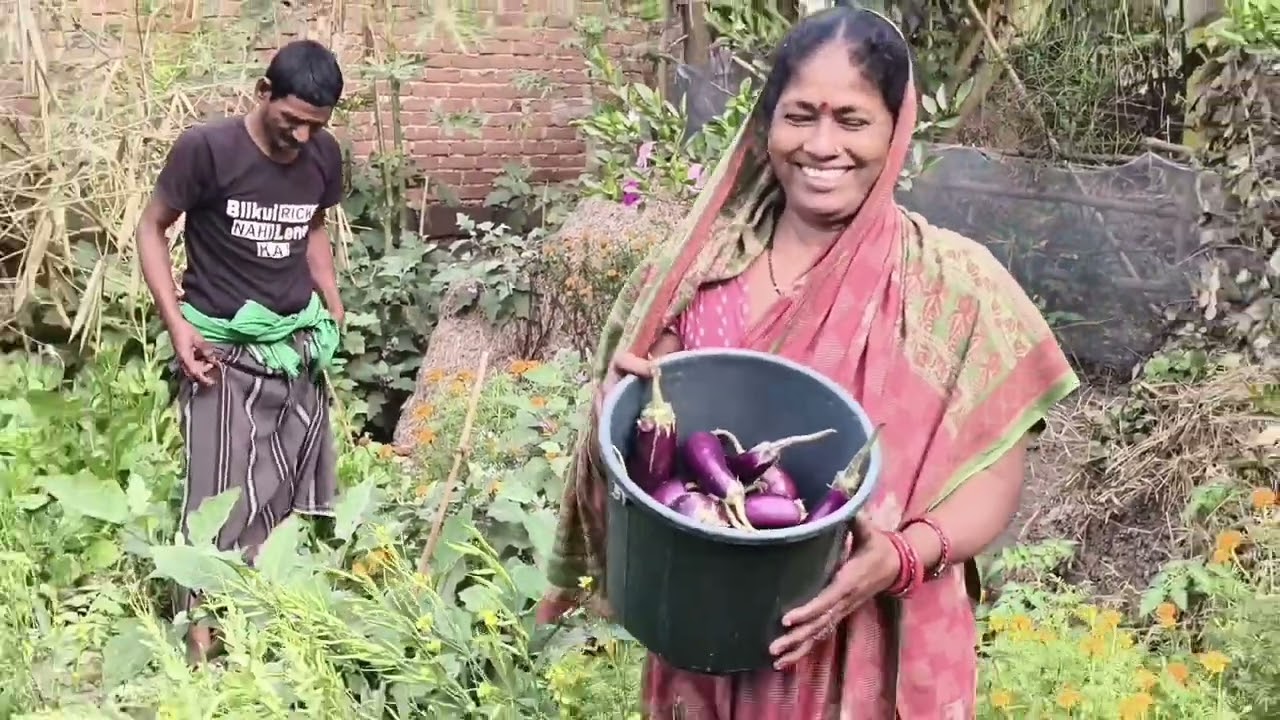 ସକାଳୁ ସକାଳୁ କଣ ପାଇଁ ବାରିକୁ ଗଲୁ 🤔🤨