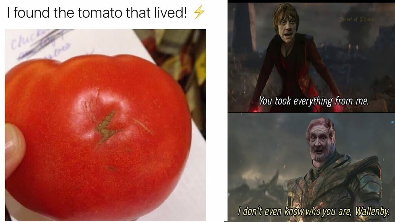 Only Harry Potter fans will find funny #23