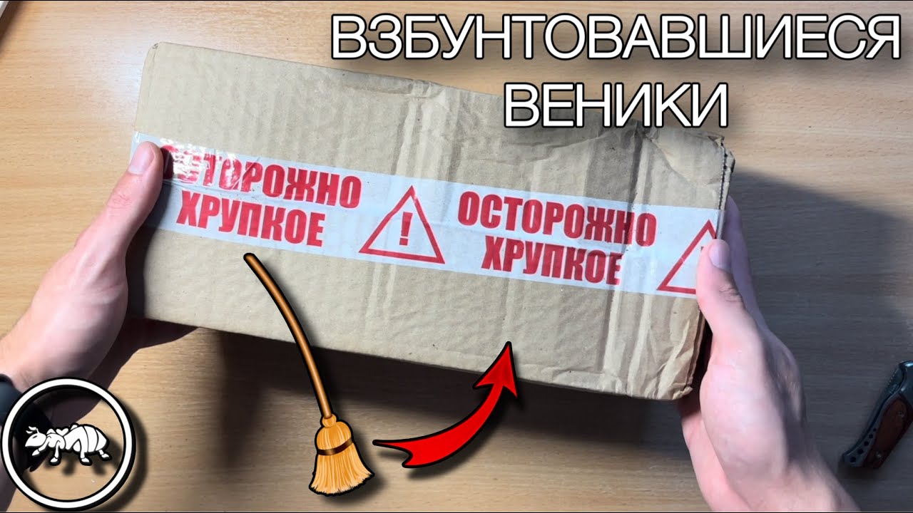 ПОСЫЛКА С МУРАВЬЯМИ ИЗ КИТАЯ  // ВЕНАТОРЫ АТАКУЮТ? // AntKeeper #ants #муравьи