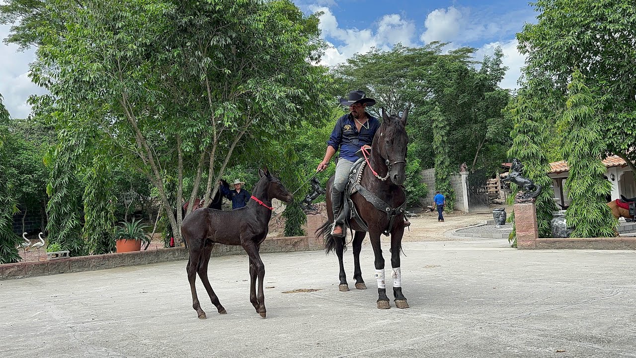 Así se disfruta la celebración en Rancho El amigo en Obrajuelo Agua Caliente Chalatenango