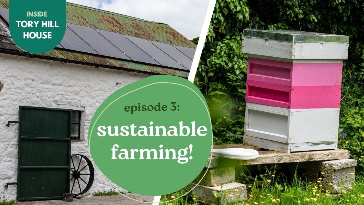 3 Ways We Lower Our Farm’s Footprint | Inside Tory Hill House - Episode 3