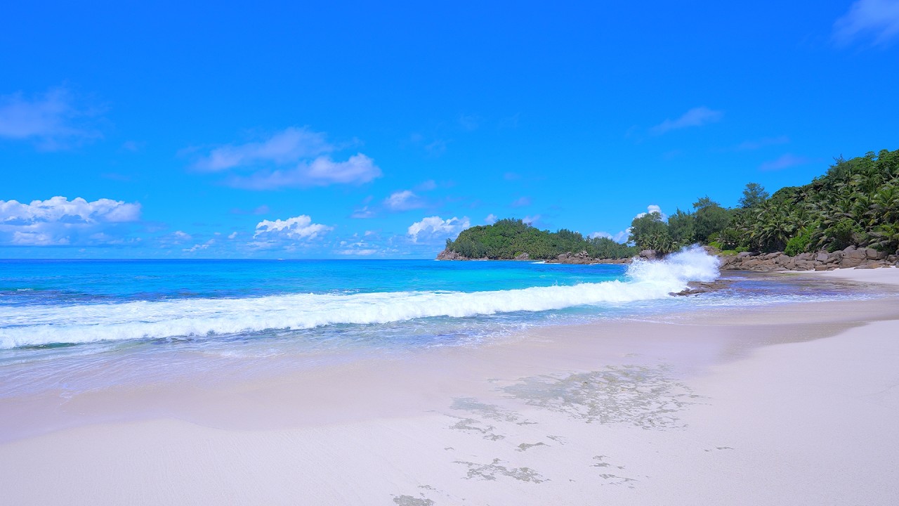 🌴 Beautiful Beach in of The Seychelles Islands