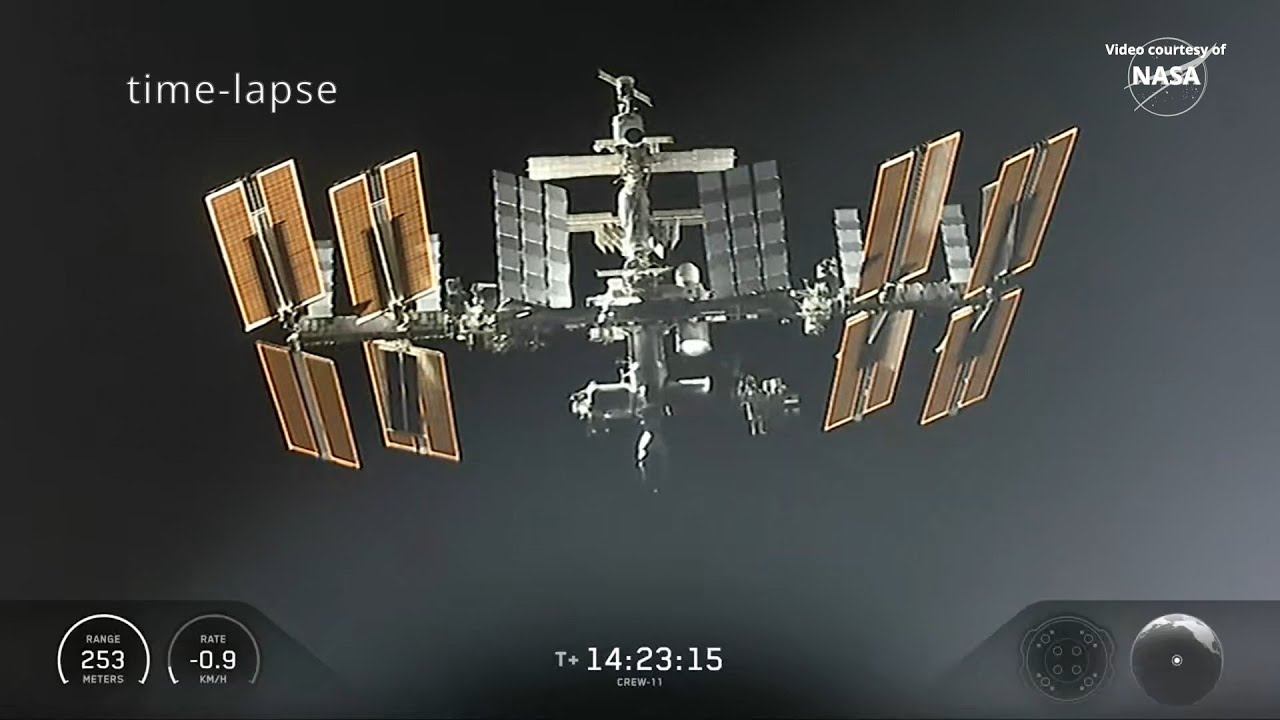 SpaceX Crew-11 docking