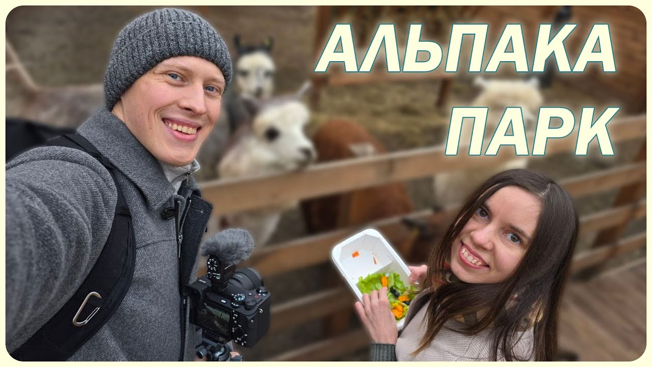АЛЬПАКИ В ЦЕНТРЕ МОСКВЫ | ПАРК СИМБА