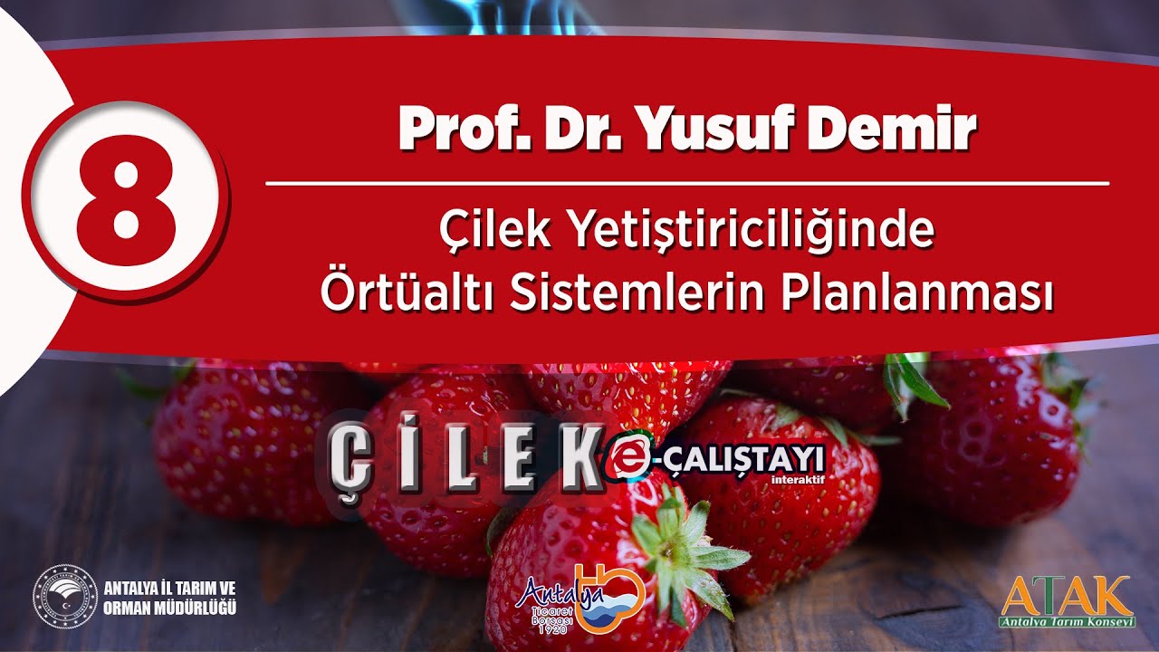 8 Çilek E-Çalıştayı - Çilek Yetiştiriciliğinde Örtüaltı Sistemlerin Planlanması