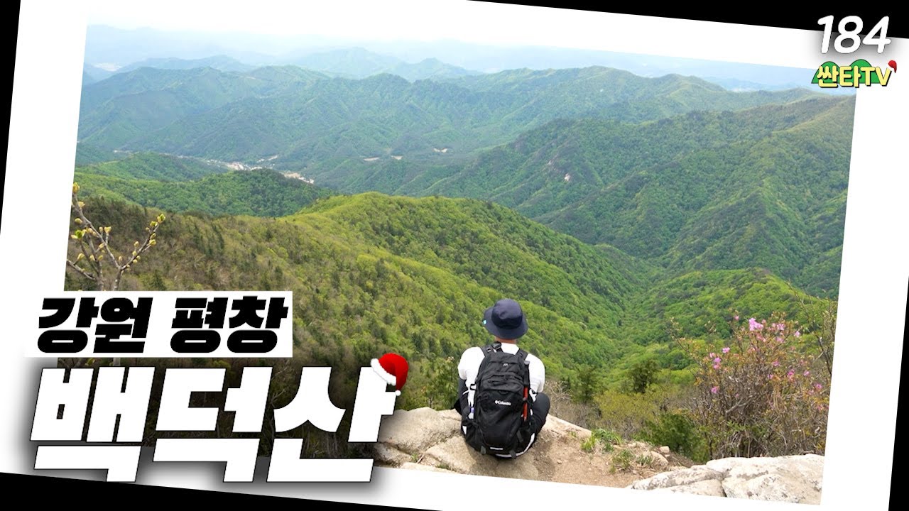 100대 명산 백덕산 등산, 신비로운 서울대 나무│강원도 평창│정상 최단 코스
