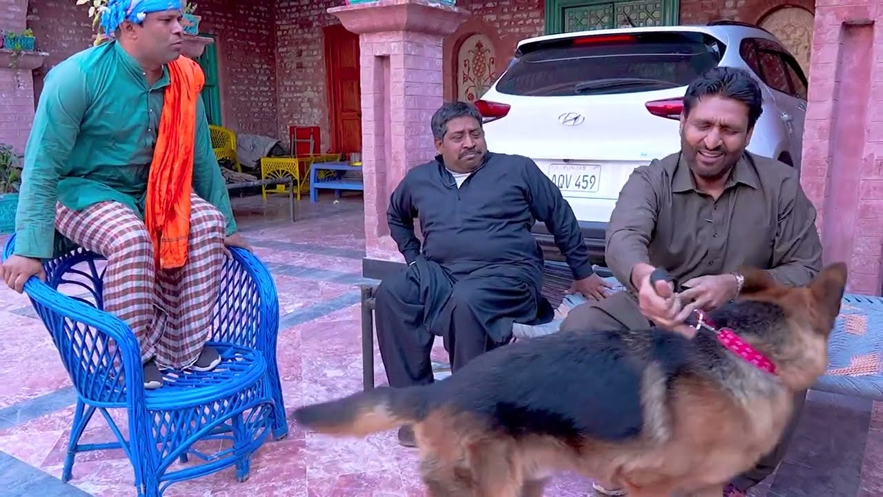 Rana Ijaz New Video | Standup Comedy By Rana Ijaz | New Dog Video | #comedy  @ranaijazofficial55