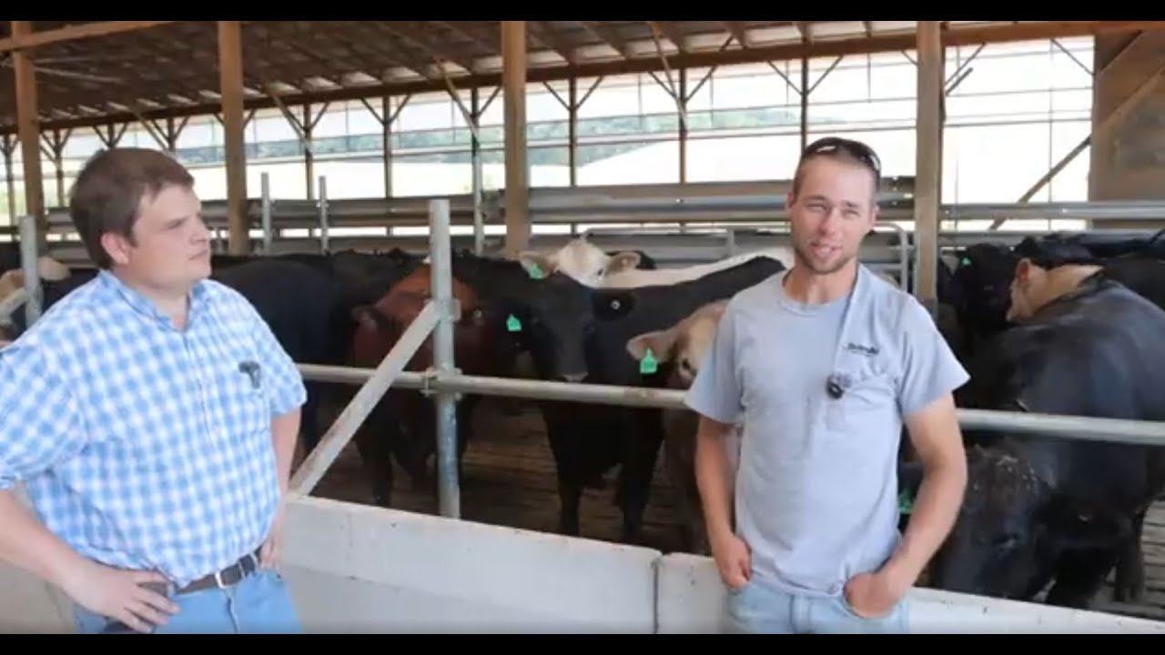 Maximizing Livestock Ventilation in the Beam Family's Beef Cattle Barn.