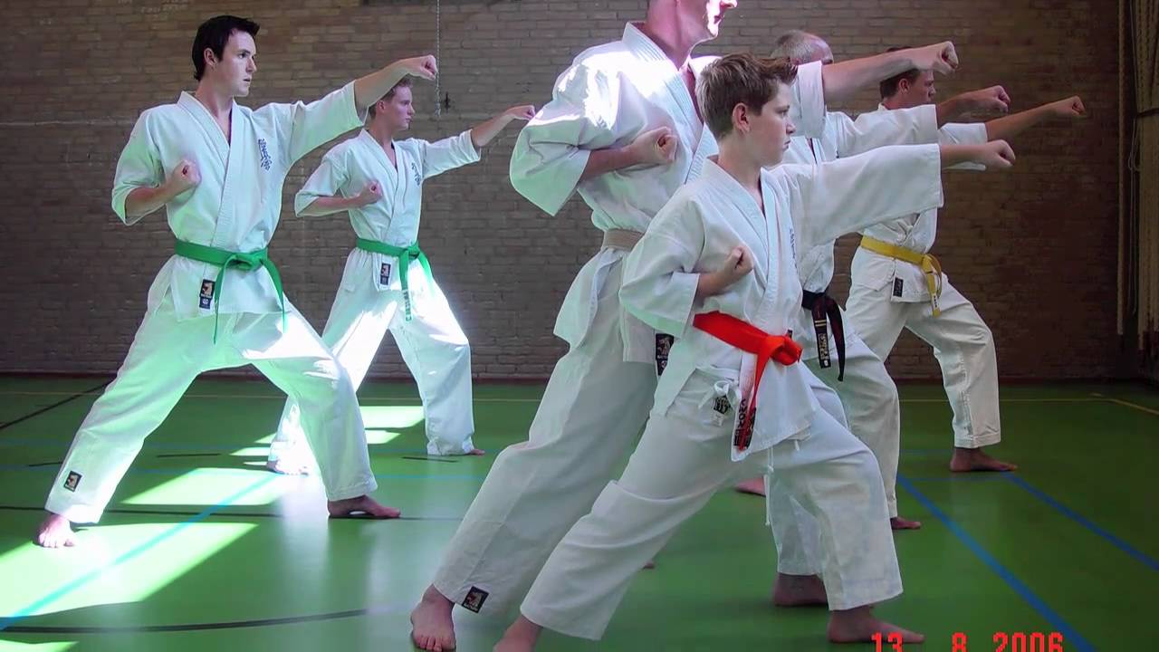diverse kyokushin Cor Mol