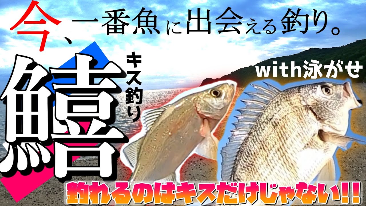【キス釣り】簡単に釣れて大物もゲットできるから!!!!!!【初心者にもオススメ】