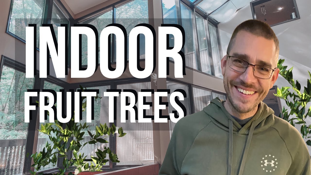 Indoor Orchard Tour